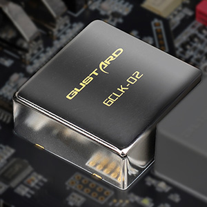 Gustard R30 : GCLK-02 module