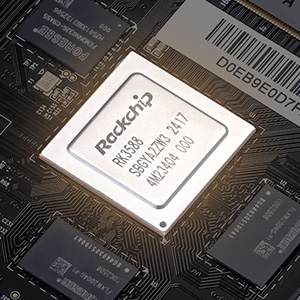 Rose HiFi RS451 : CPU