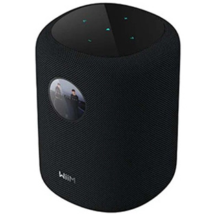Photo des enceintes WIIM SOUND DISPLAY