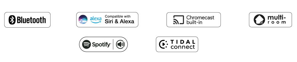 La connectivité du WIIM SOUND DISPLAY