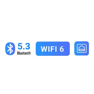 La connectivité du WiiM SUB PRO