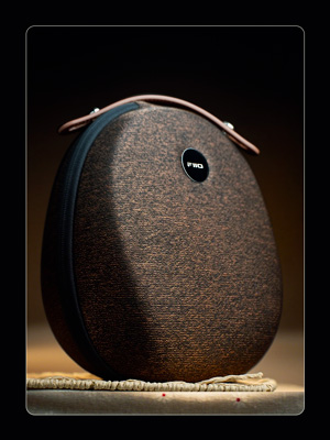 FiiO FT13 : Pochette de rangement