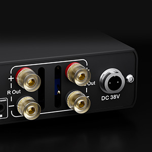 Topping MINI300 : GX output and connector