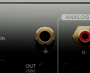 Eversolo DAC-Z10: Grounding terminal block