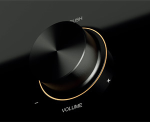 Eversolo DAC-Z10: Control button