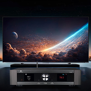 Tonewinner AT-500 with television