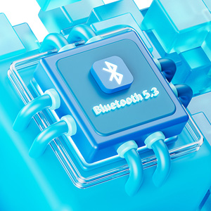 FiiO Snowsky Echo Mini