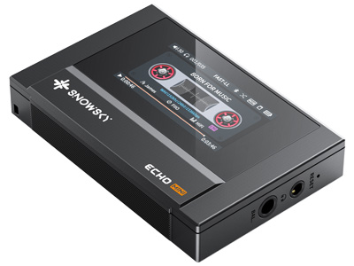 FiiO Snowsky Echo Mini