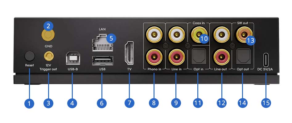 Aper&ccedil;u du Arylic LP100