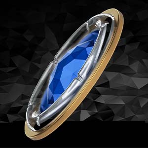 La structure du diaphragme des LETSHUOER DX1