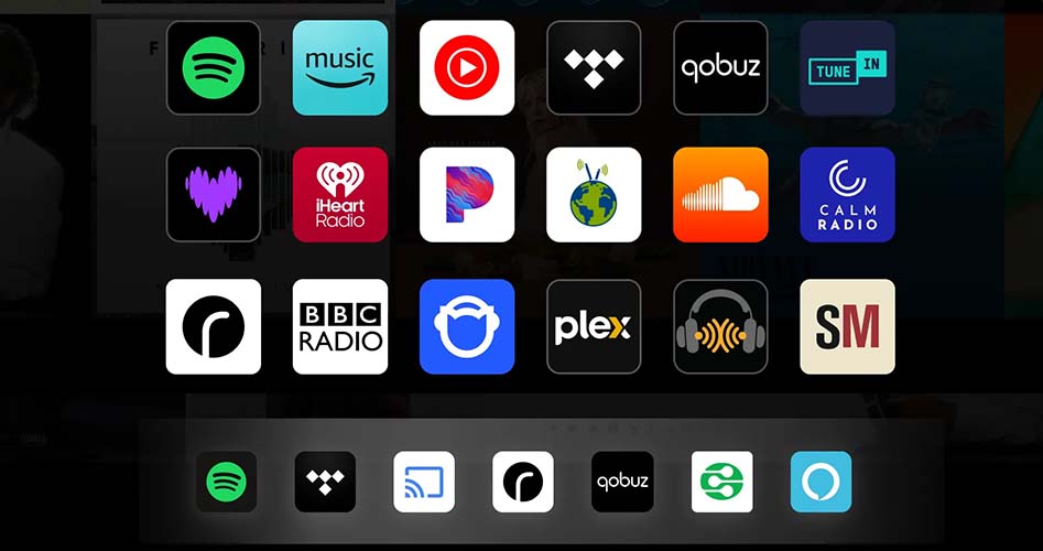 Connectivity of WIIM SOUND LITE