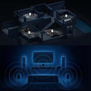 Multiroom and Home Cinema function