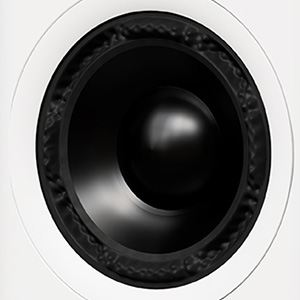 AsciLab S6B : Woofer