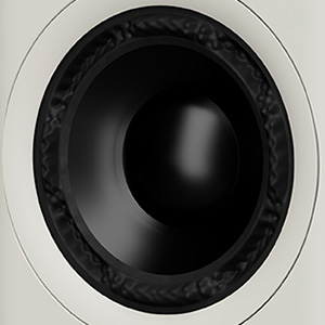 AsciLab S6B : Woofer