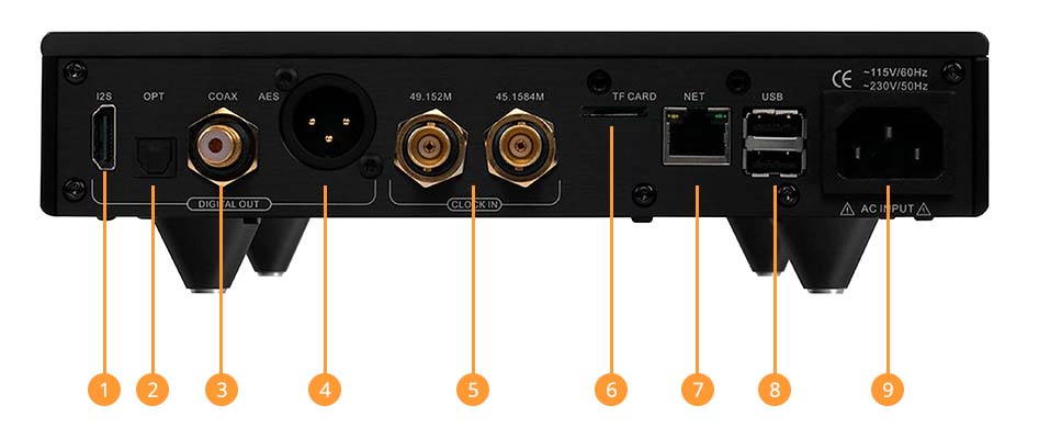 La connectique du Denafrips Arce