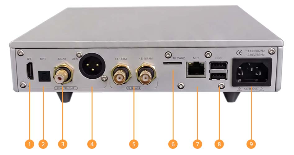 The Denafrips Arce's connectivity