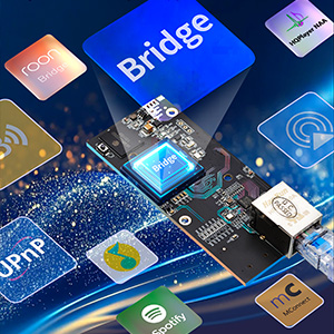 Gustard R26 III : Network connectivity