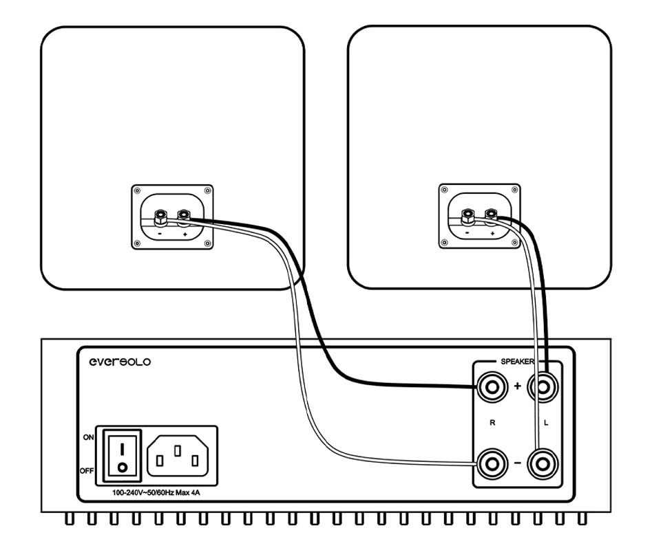 Branchement des Eversolo SE100 