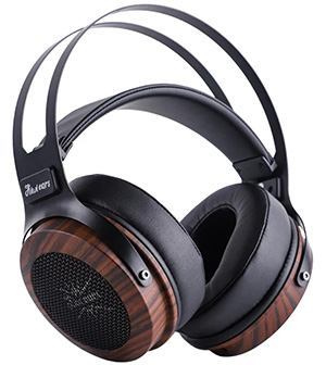 Kiwi Ears Altruva : Front view