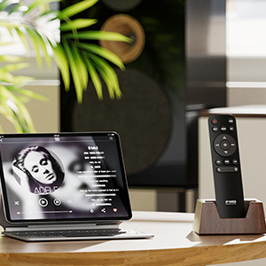 FiiO BR15 R2R : Remote control