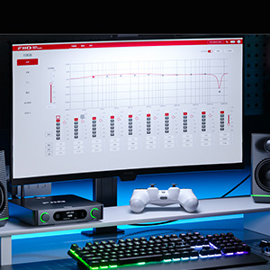 FiiO BR15 R2R : 10-band equaliser