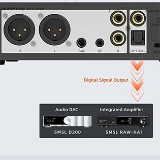 SMSL PL100 Pro : Sorties num&eacute;riques brutes
