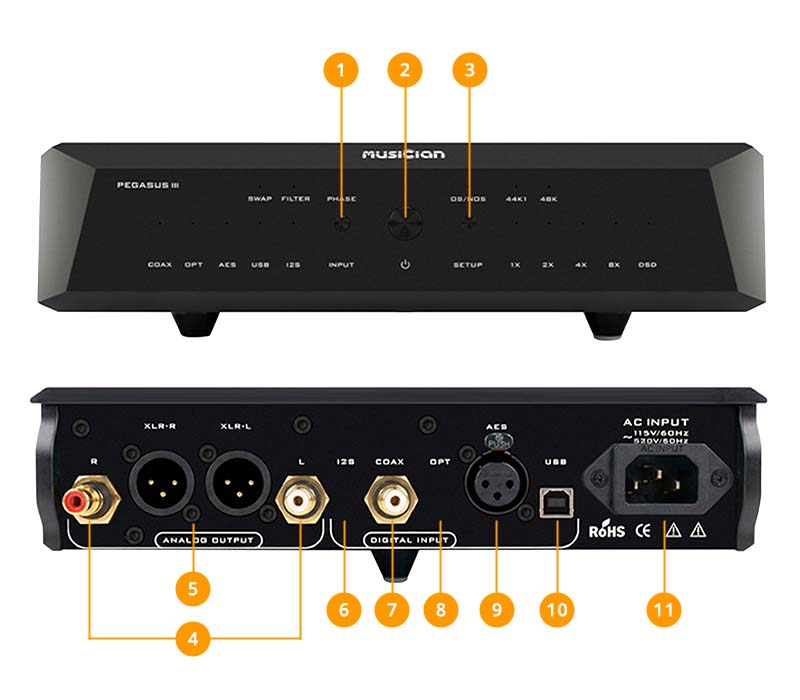 Aper&ccedil;u de la connectique Musician PEGASUS III