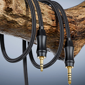 FiiO FT1 Pro : Cables supplied