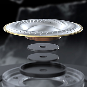 FiiO JT1 : haut-parleur