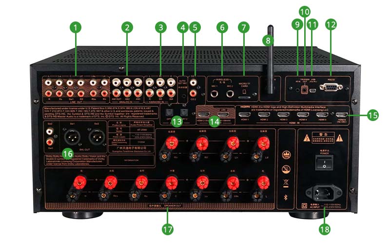 Aperçu du Tonewinner AT-2000