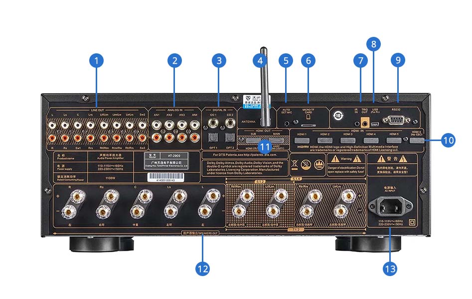 Aper&ccedil;u du Tonewinner AT-2900