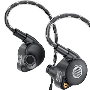 Roseselsa CJ20 : Vue de face