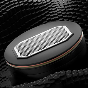 Roseselsa CJ20 : Transducteur planar magnetic