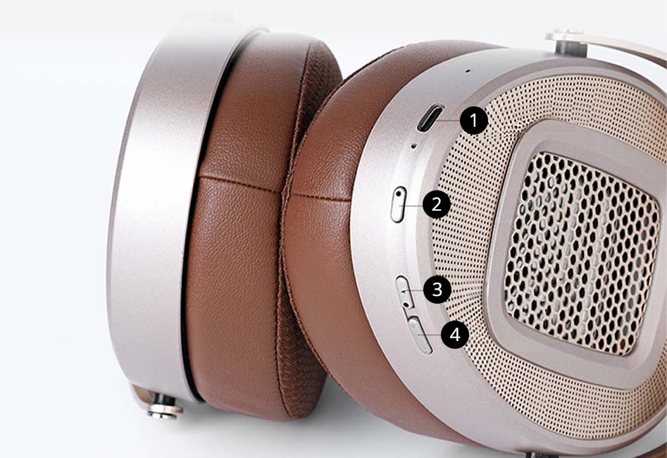 Aper&ccedil;u du HiFiMan HE1000 WiFi