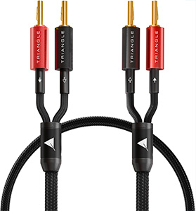 Photo du c&acirc;ble d'enceintes