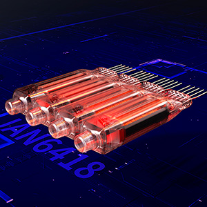iBasso PB6 Macaw : JAN6418