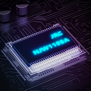 iBasso PB6 Macaw : Puce NJW1195A