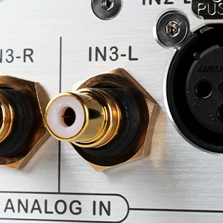 Photo des entr&eacute;es RCA du LADDER Back II