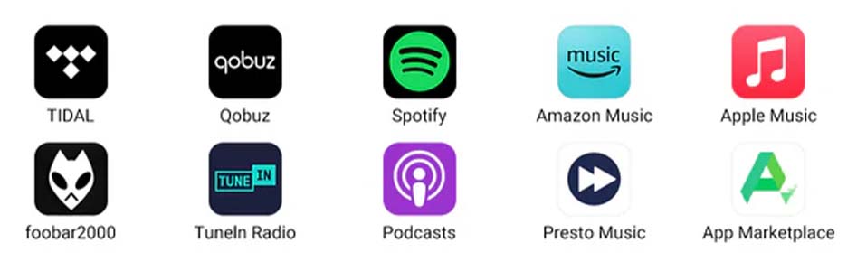 AIYIMA HYFIOO DM100 Streaming Applications