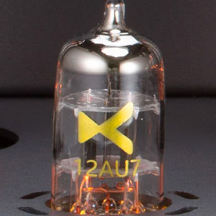 Photo of one of the tubes of the xDuoo A35