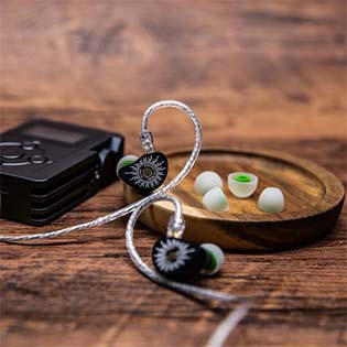 KIWI EARS CHORUS: Dynamic Driver with DLC Diaphragm