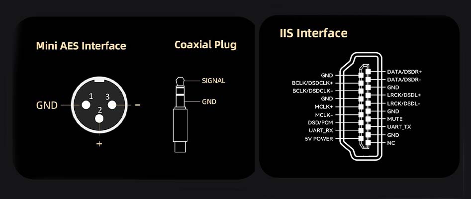 Connectique du Xduoo DP-10