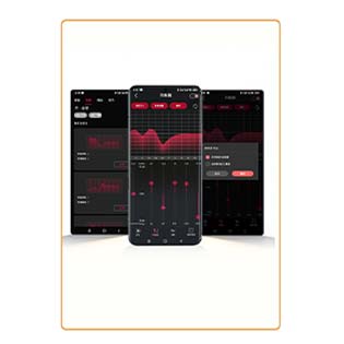FIIO SNOWSKY OAK NANO: Sound Customization and USB-C DSP Connector