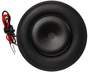 Tang Band W1‑2396S : Front view