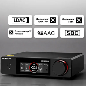 Aiyima D20 : Codecs Bluetooth