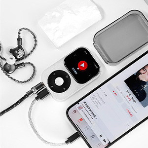 SHANLING Q2: Use as a DAC