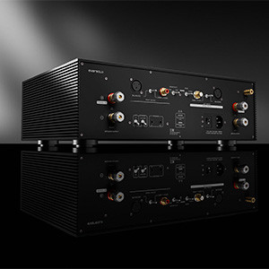 EVERSOLO AMP-F8: Rear view