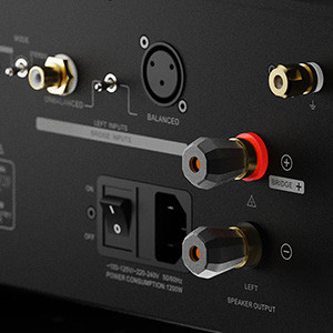 EVERSOLO AMP-F8: RCA and XLR input