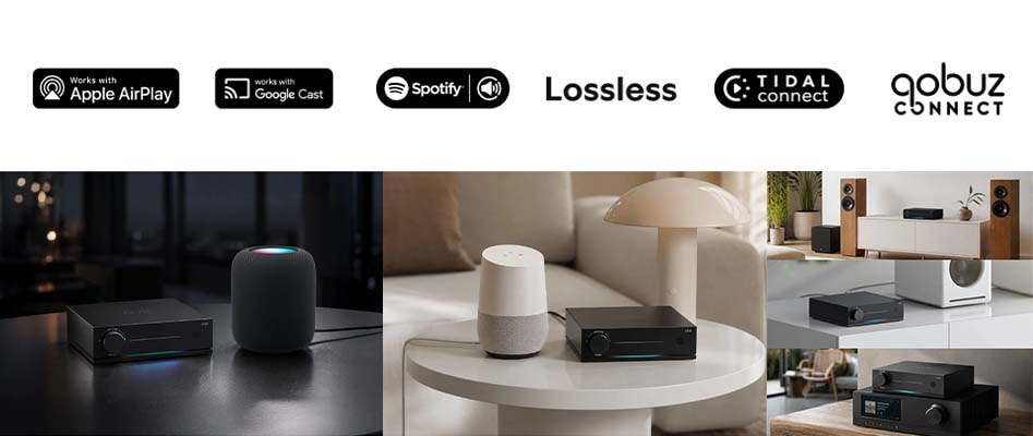ARYLIC LP20: High-Resolution Streaming and Multiroom