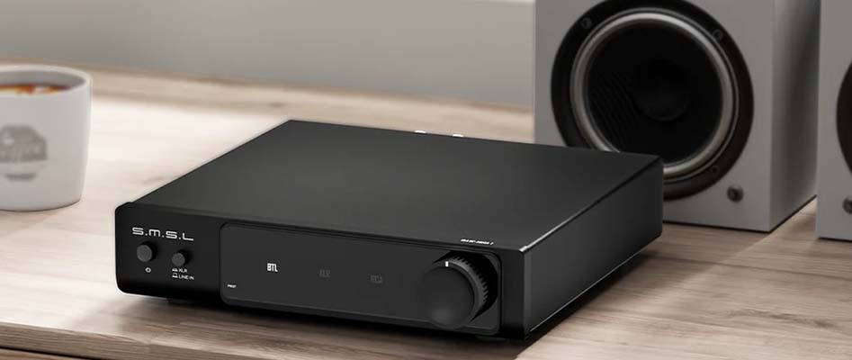 SMSL RAW-MHA1: RCA, XLR and Subwoofer Output Connectivity